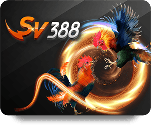 SBOTOP Bet Online: A Guide to Live Betting and Promotions